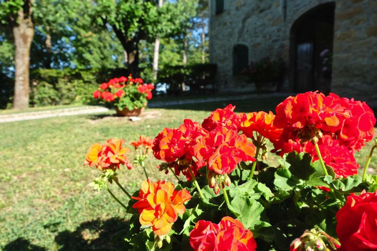 La Corte Bonomini Bed and Breakfast Neviano degli Arduini Exteriör bild